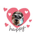 Atom’s LINE stickers-①（個別スタンプ：8）