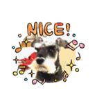 Atom’s LINE stickers-①（個別スタンプ：9）