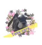 Atom’s LINE stickers-①（個別スタンプ：10）