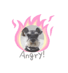 Atom’s LINE stickers-①（個別スタンプ：11）