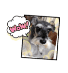 Atom’s LINE stickers-①（個別スタンプ：12）