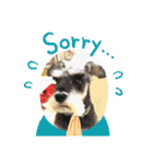 Atom’s LINE stickers-①（個別スタンプ：14）