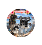 Atom’s LINE stickers-①（個別スタンプ：17）