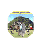 Atom’s LINE stickers-①（個別スタンプ：19）