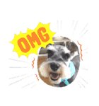 Atom’s LINE stickers-①（個別スタンプ：25）
