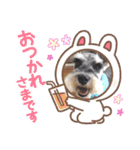 Atom’s LINE stickers-①（個別スタンプ：26）