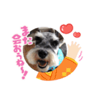 Atom’s LINE stickers-①（個別スタンプ：27）