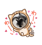 Atom’s LINE stickers-①（個別スタンプ：28）