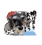 Atom’s LINE stickers-①（個別スタンプ：30）