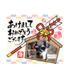 Atom’s LINE stickers-①（個別スタンプ：31）