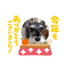 Atom’s LINE stickers-①（個別スタンプ：32）