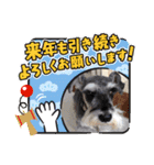 Atom’s LINE stickers-①（個別スタンプ：34）