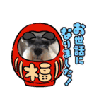 Atom’s LINE stickers-①（個別スタンプ：36）