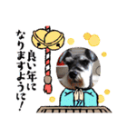 Atom’s LINE stickers-①（個別スタンプ：37）
