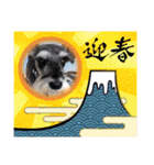 Atom’s LINE stickers-①（個別スタンプ：38）