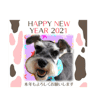 Atom’s LINE stickers-①（個別スタンプ：40）