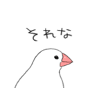 ゆるりと文鳥3（個別スタンプ：1）