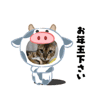 アルくん❤️スタンプ（個別スタンプ：3）