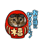 アルくん❤️スタンプ（個別スタンプ：6）