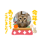アルくん❤️スタンプ（個別スタンプ：7）