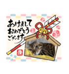 アルくん❤️スタンプ（個別スタンプ：12）