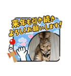 アルくん❤️スタンプ（個別スタンプ：13）