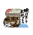 アルくん❤️スタンプ（個別スタンプ：14）