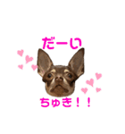 ベル子の日常スタンプ（個別スタンプ：14）