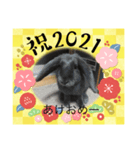 あけおめスタンプ 猫とウサギ編（個別スタンプ：2）