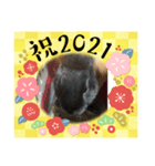 あけおめスタンプ 猫とウサギ編（個別スタンプ：4）