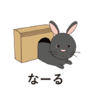 うさこの便利なスタンプ(行事スタンプ付き)（個別スタンプ：25）