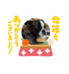 フレブルモーⅧ（個別スタンプ：1）