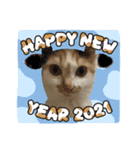 にゃんneko(=^x^=)（個別スタンプ：7）