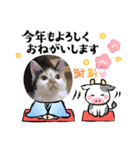 にゃんneko(=^x^=)（個別スタンプ：8）