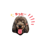 メルメリーハムズスタンプNo.1（個別スタンプ：8）