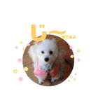 メルメリーハムズスタンプNo.1（個別スタンプ：10）