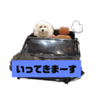 メルメリーハムズスタンプNo.1（個別スタンプ：11）