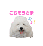 メルメリーハムズスタンプNo.1（個別スタンプ：21）