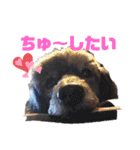 メルメリーハムズスタンプNo.1（個別スタンプ：23）
