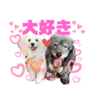 メルメリーハムズスタンプNo.1（個別スタンプ：24）