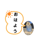 猫とインコのスタンプ（個別スタンプ：1）
