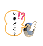 猫とインコのスタンプ（個別スタンプ：6）