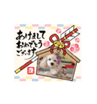 みるすた3（個別スタンプ：1）