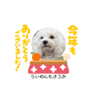 みるすた3（個別スタンプ：2）