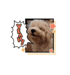 みるすた3（個別スタンプ：14）