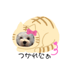 みるすた3（個別スタンプ：23）