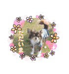 COCOくん(ᐡ⸝⸝o̴̶̷̤ ﻌ o̴̶̷̤⸝⸝ᐡ)（個別スタンプ：4）