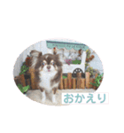COCOくん(ᐡ⸝⸝o̴̶̷̤ ﻌ o̴̶̷̤⸝⸝ᐡ)（個別スタンプ：5）