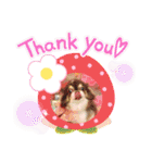 COCOくん(ᐡ⸝⸝o̴̶̷̤ ﻌ o̴̶̷̤⸝⸝ᐡ)（個別スタンプ：9）