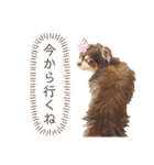 COCOくん(ᐡ⸝⸝o̴̶̷̤ ﻌ o̴̶̷̤⸝⸝ᐡ)（個別スタンプ：14）